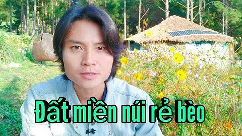 Bỏ phố về rừng: Vấn đề không phải là tiền