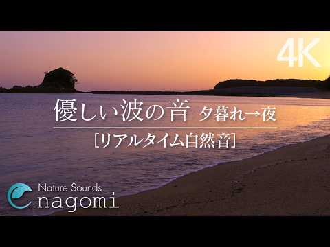 【波の音/睡眠】眠くなる優しい波の音｜癒しの波音で深い眠りへ｜睡眠・睡眠導入・疲労回復｜自然音/ASMR