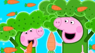Peppa Pig Becomes Broccoli in Hollywood! ???????? Peppa Pig Family Kids Cartoon ???????? Peppa Pig Season 9