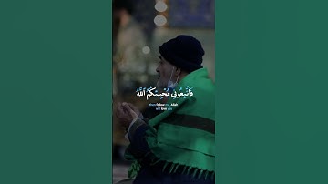 قل إن كنتم تحبون الله فاتبعوني يحببكم الله ويغفر لكم ذنوبكم | الآية 31 من سورة آل عمران