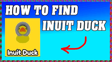 HOW TO FIND INUIT DUCK in FIND THE DUCKS ROBLOX ! 🦆