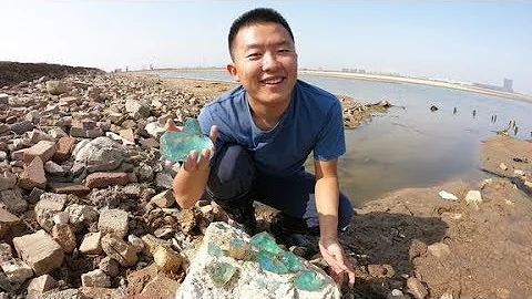 二蛋趕海專門撿石頭，漂亮石頭多的撿不完，可急壞了二蛋 Erdan Pick Stones, There are Too Many Beautiful Stones on the Beach - 天天要聞