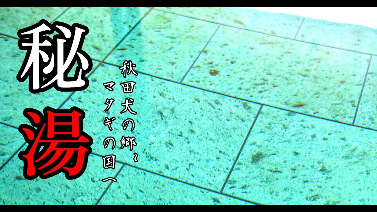 【秘湯】 秋田 大館~秘境！阿仁マタギの国へ　秋田犬に癒されヒグマに驚かされる温泉旅