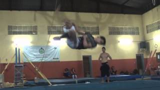 NaNo.O Sampler 2013 - 4 my Friends-
