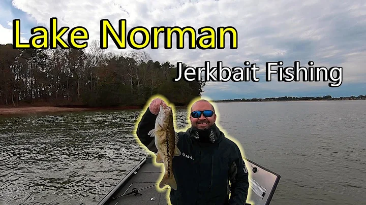 Lake Norman Winter Jerkbait Fishing