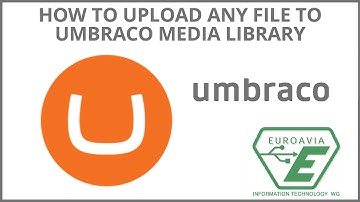 How to upload any file to umbraco