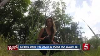 Experts Warn Of Increased Tick Population, Tick-Borne Infections Wealth
