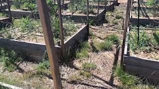 June 30 walk around