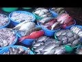Fish Market Dagupan Philippines 22115 Fish Market Dagupan Philippines 22115