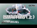 海上惊现巨型养殖平台 “耕海1号”构筑海洋牧场发展新格局!20220127 |《创新进行时》CCTV科教