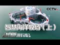 海上惊现巨型养殖平台 “耕海1号”构筑海洋牧场发展新格局！20220127 |《创新进行时》CCTV科教