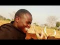 Nyangumi Gandu Ng Wana Ndama Jigushilaga Shudia Akipewa Ng Ombe Nyangumi Gandu Ng Wana Ndama Jigushilaga Shudia Akipewa Ng Ombe