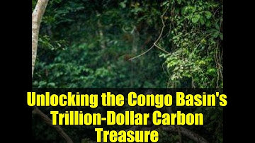 Unlocking the Congo Basin