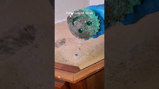 Filthy Cabinet Scrub! This hasn't been cleaned in over 20 years 😱 #shorts #asmr #cleaningmotivation