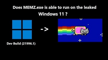 Destroying the leaked windows 11 with MEMZ.exe