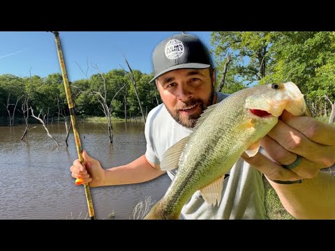 Cane Pole Bass Fishing Is on Fire!