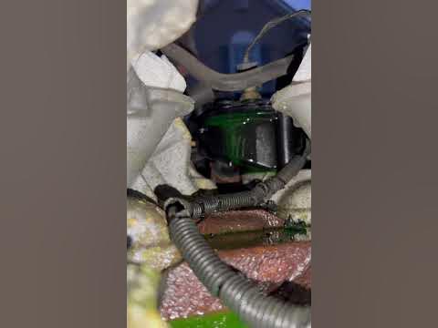 2005 Mustang V6 Thermostat housing leak - YouTube