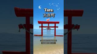 Saga’s Secret Seaside Town of Tara 