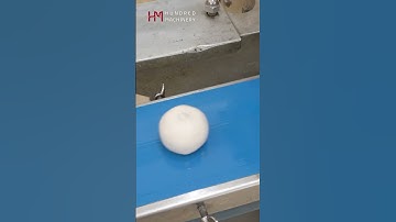 How To Make Crystal Dumplings With HM-168 Auto Encrusting Machine