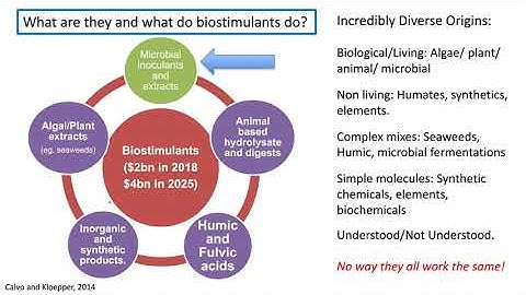 P. Brown - Biostimulants in agriculture