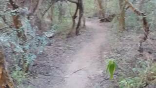 Cascada tras del dique los Sauces la Rioja!!!(1)