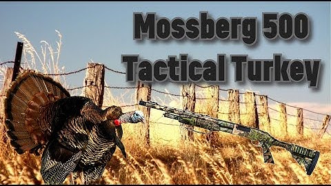 Cover Image for Mossberg 500 Tactical Turkey Part 2 Vortex Venom and a Carlson Longbeard Choketube