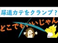 【いまさら聞けない#2】尿道カテーテルってどこクランプする？？