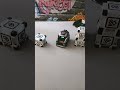 Anki Edit! #anki #robot #edit #likeandsubscribe