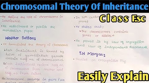 Chromosomal Theory Of Inheritance | Class 12 Biology
