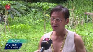 烏來桂竹筍節連3週 展無毒成果 2016-05-11 Atayal TITV 原視族語新聞