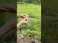 Will you be able to tie these outdoor knots after reading this #KnotTyingTutorial #LifeHac