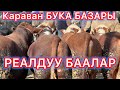 Бука базар АТ БАЗАР РЕАЛДУУ БААЛАР 11-Октябрь Караван мал базары