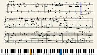 하이든 | Haydn - Sonata (Divertimento) in G Major, Hob XVI:8 I.Allegro