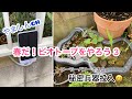 【ビオトープ】③ 秘密兵器投入ソーラーパワーでエコ