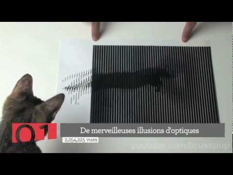 Top 5 De L Animation Avec Des Illusions D Optique A Shaquille O Neal En Slip Youtube Top 5 De L Animation Avec Des Illusions D Optique A Shaquille O Neal En Slip Youtube