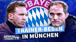 Bayern-Beben: Nagelsmann vor Entlassung - Tuchel vor Unterschrift als Nachfolger | TRANSFERMARKT