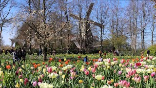 Visiting Keukenhof 2022 - The world&#39;s largest tulip garden - 4K