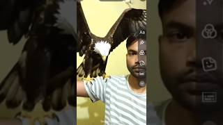 #youtubetutorial #tutorialfilter #viralvideo #viral #techtutorial #trending