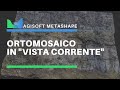 Agisoft Metashape - Ortomosaico in "vista corrente"