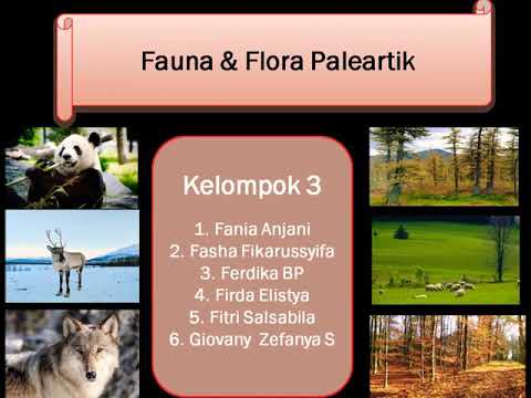 Download 880 Gambar Flora Paleartik Keren Gratis