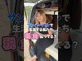 サンバーバンで生活する私たち、税金払ってないの?#スバル #日本一周 #軽バン #車中泊 #vanlife #車中泊女子 #SUBARU #サンバーバン #TVサンバー #sambar