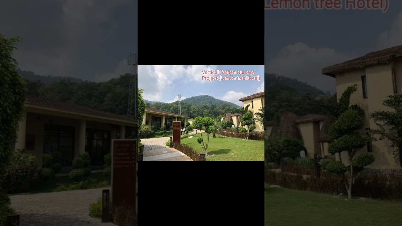 Lemon Tree Hotel Ramnagar (Uttarakhand) Plantation work done by Vertical Garden Nursery
