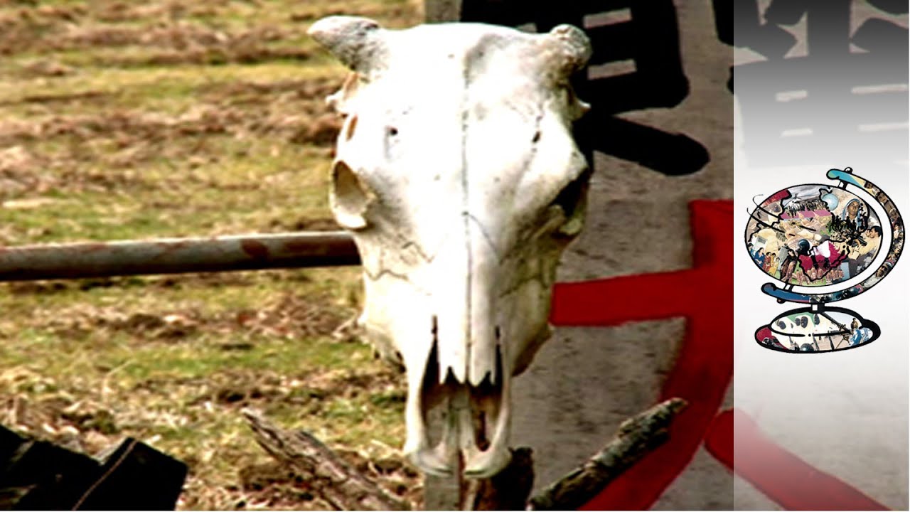 Film backdrop image for Just How Bad Has Fukushima Become? (2013)