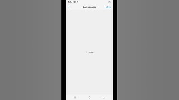 how to resolve vivo camera problem, another camera broken cannot switch