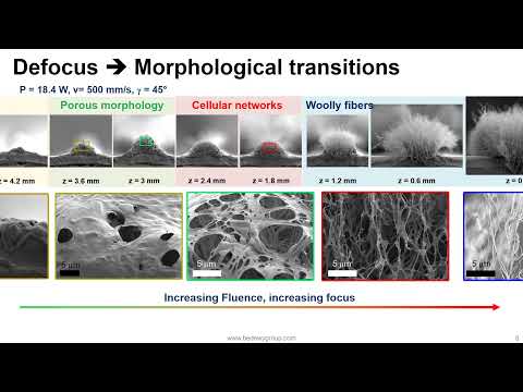 Direct laser-induced nanocarbon on flexible polymers: Tailoring porous and fibrous morphologies