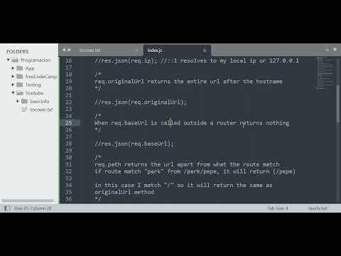 How to get basic information from Request object in ExpressJS