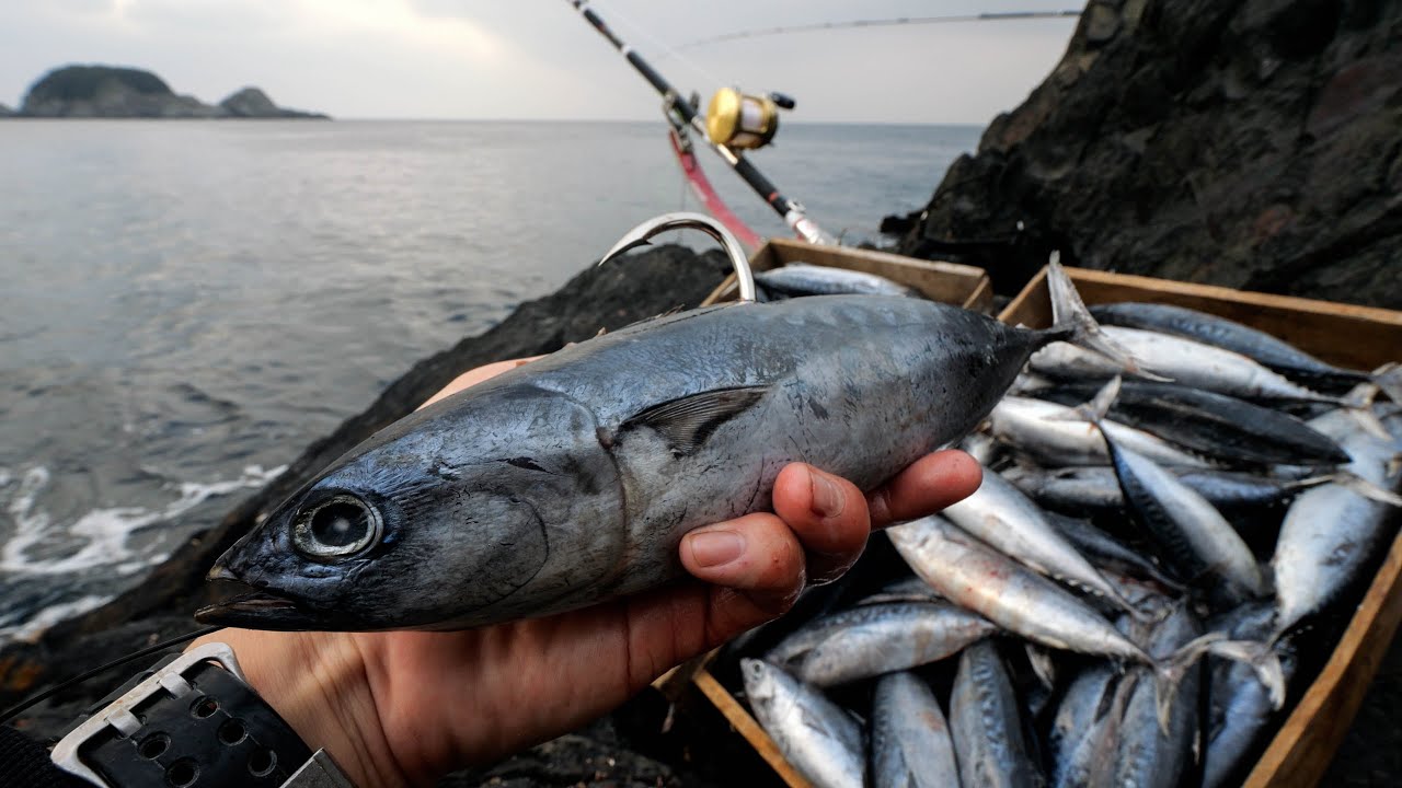 総重量100kgの餌で幻の巨大クエ・クチジロを狙う！48時間耐久ブッコミキャンプ【2023屋久島編 #2】