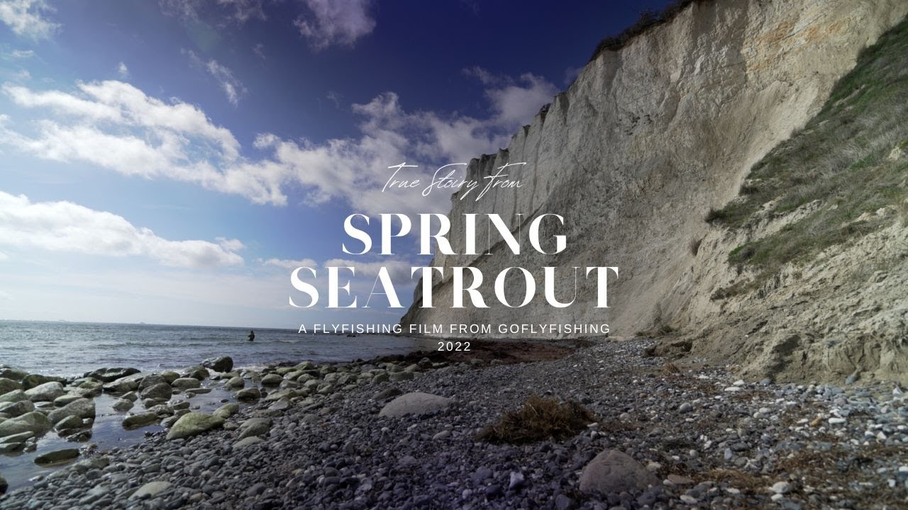 Scandinavian Sea Trout - Fly Fishing in Denmark,Sweden and Norway in one week for searun Brown Trout