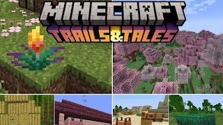 Minecraft Trails & Tales Update - Official Launch Trailer
