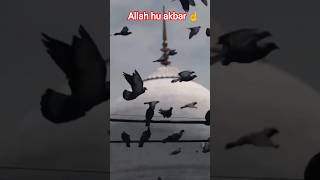 Jisne Namaz ki 🤲💯❤️😭😱#short #motivation #Islamic #trending #shortvideo #shortsfeed